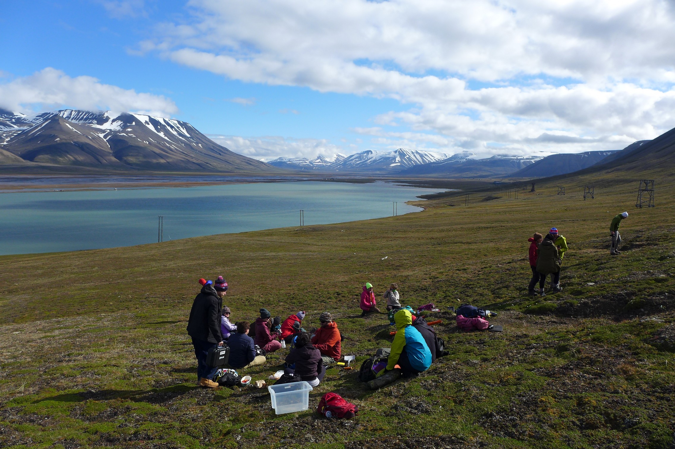 Studens collecting trait data during PFTC4 on Svalbard.