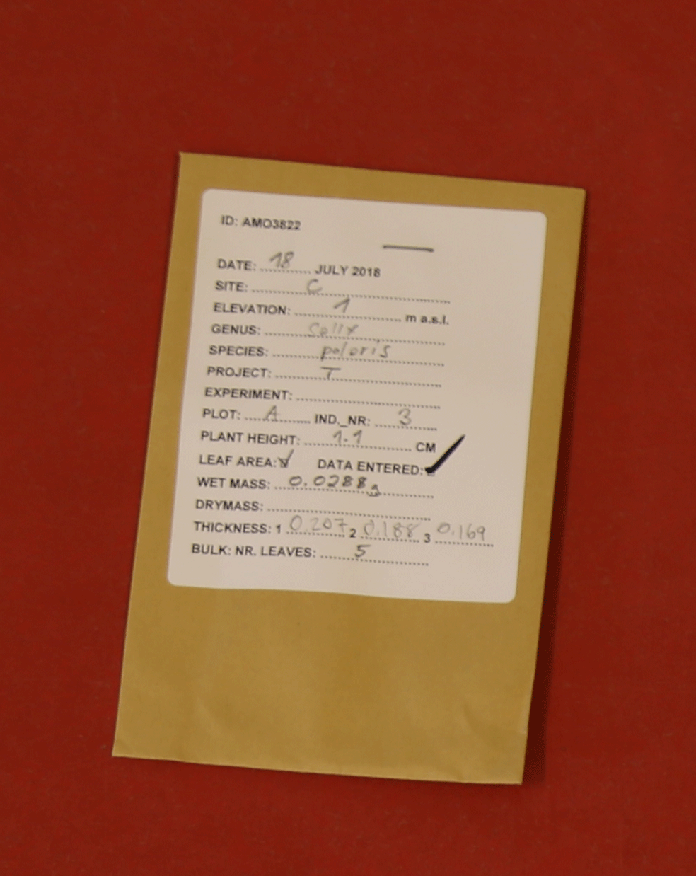 A photo showing the envelope of the leaf with the wrong date.