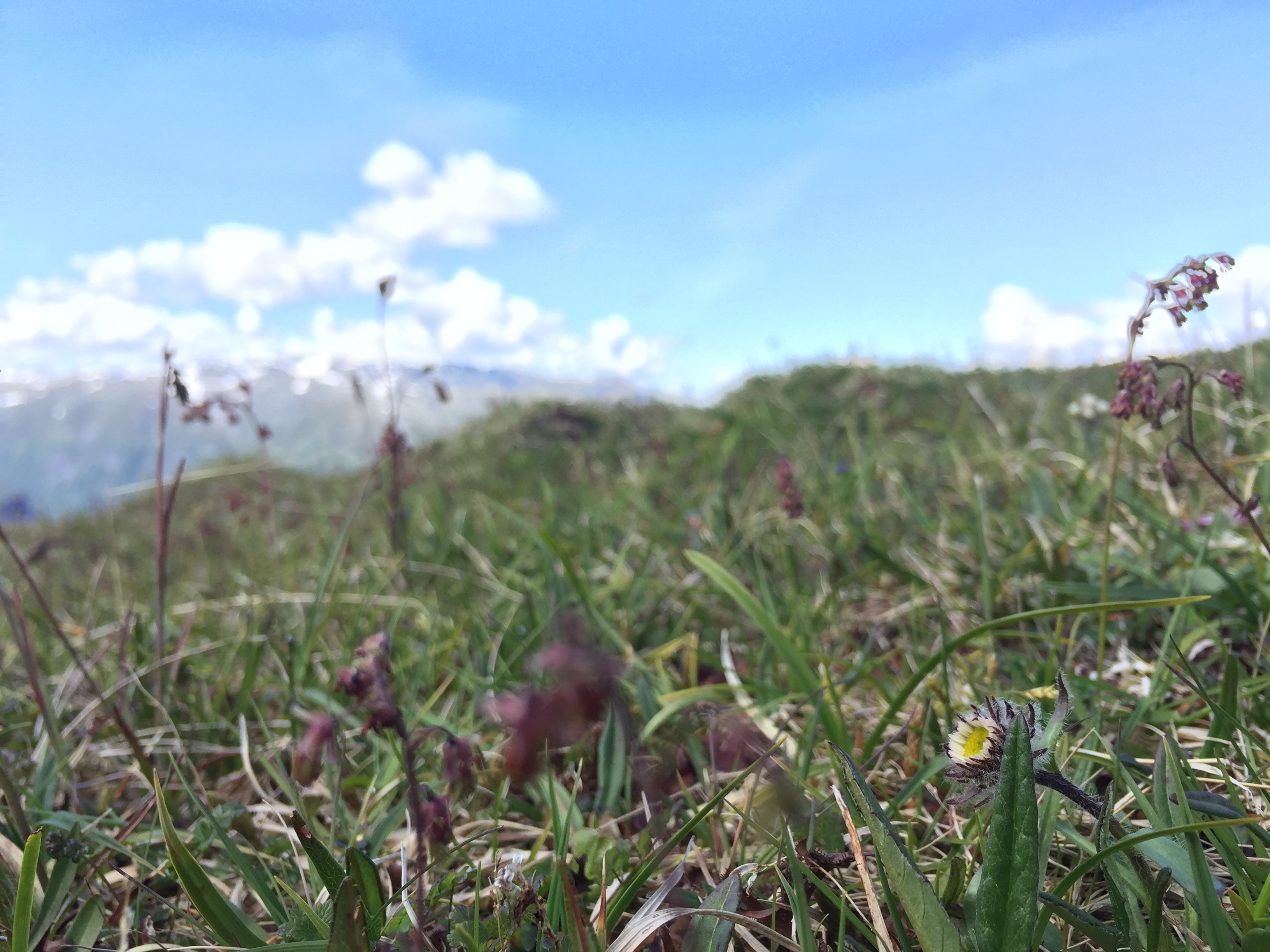 A photo showing the highest site located at Liahovden.