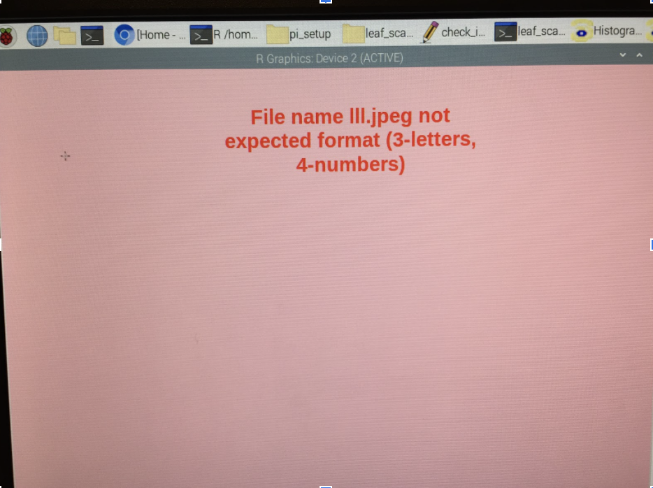 Screenshot of an error message on the PI.