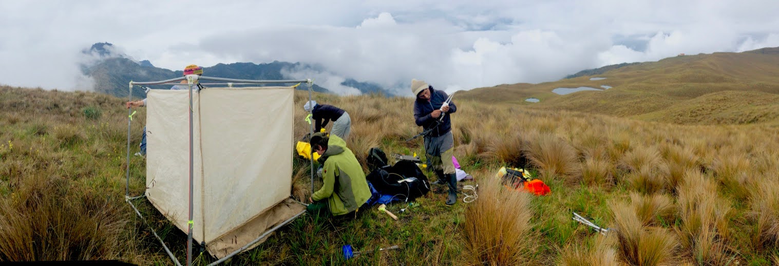 Tent setup